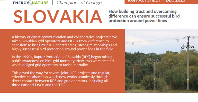CASE STUDY FROM SLOVAKIA PRESENTED IN THE FACTSHEET CHAMPIONS OF CHANGE BY RGI